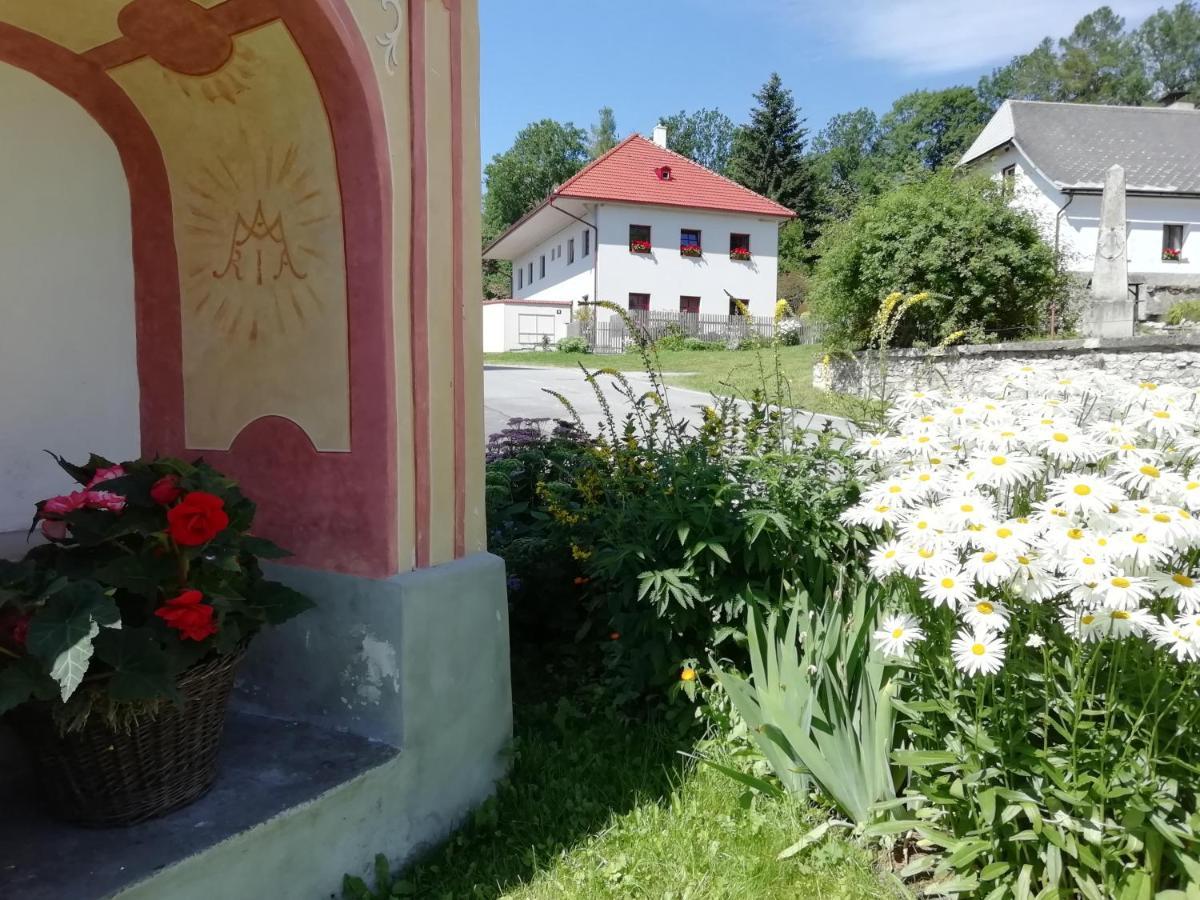 Ubytovani Praschlhaus Horní Planá Buitenkant foto