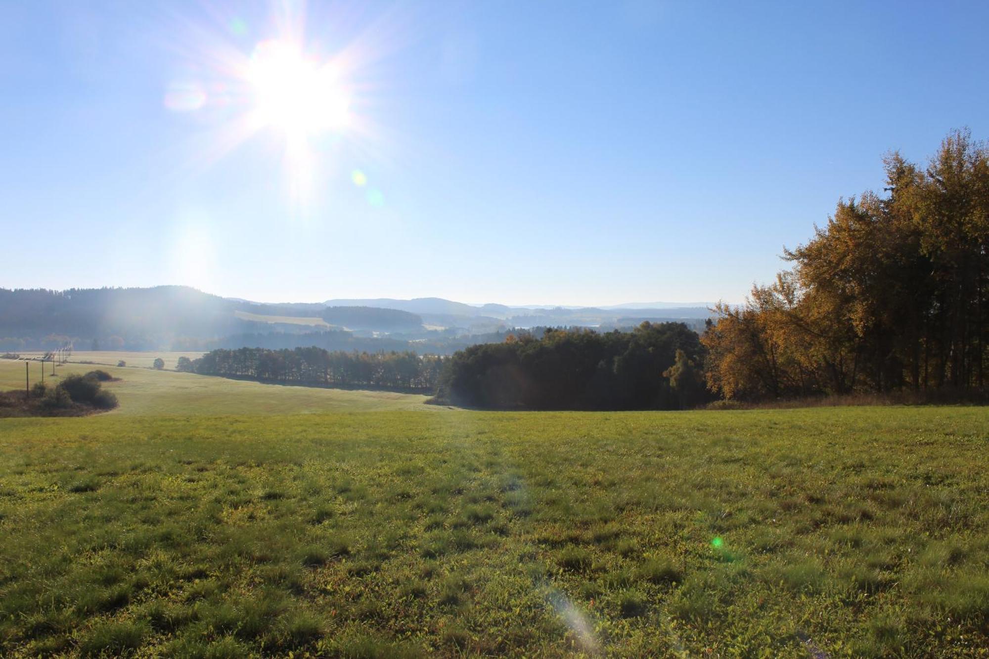 Ubytovani Praschlhaus Horní Planá Buitenkant foto