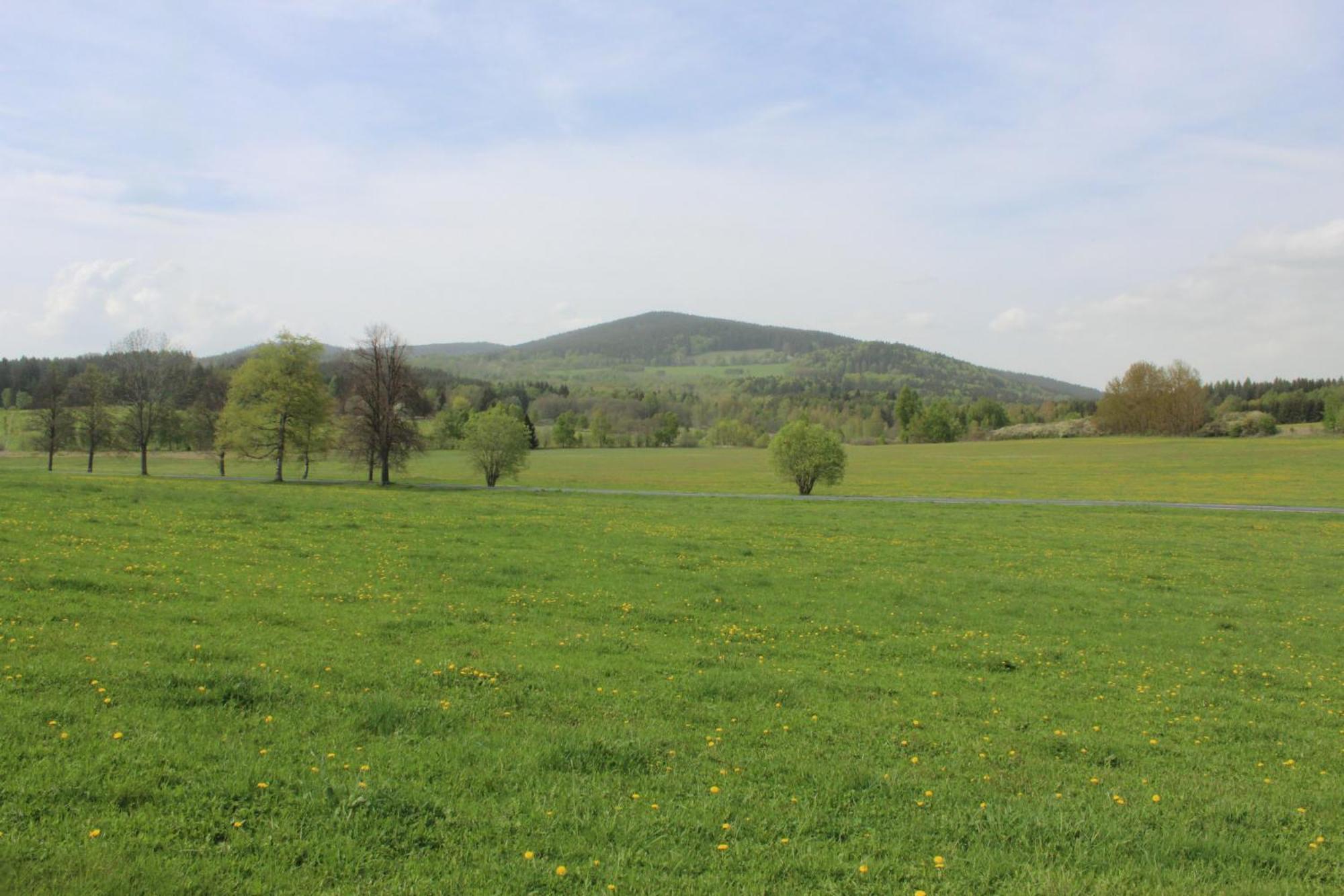 Ubytovani Praschlhaus Horní Planá Buitenkant foto