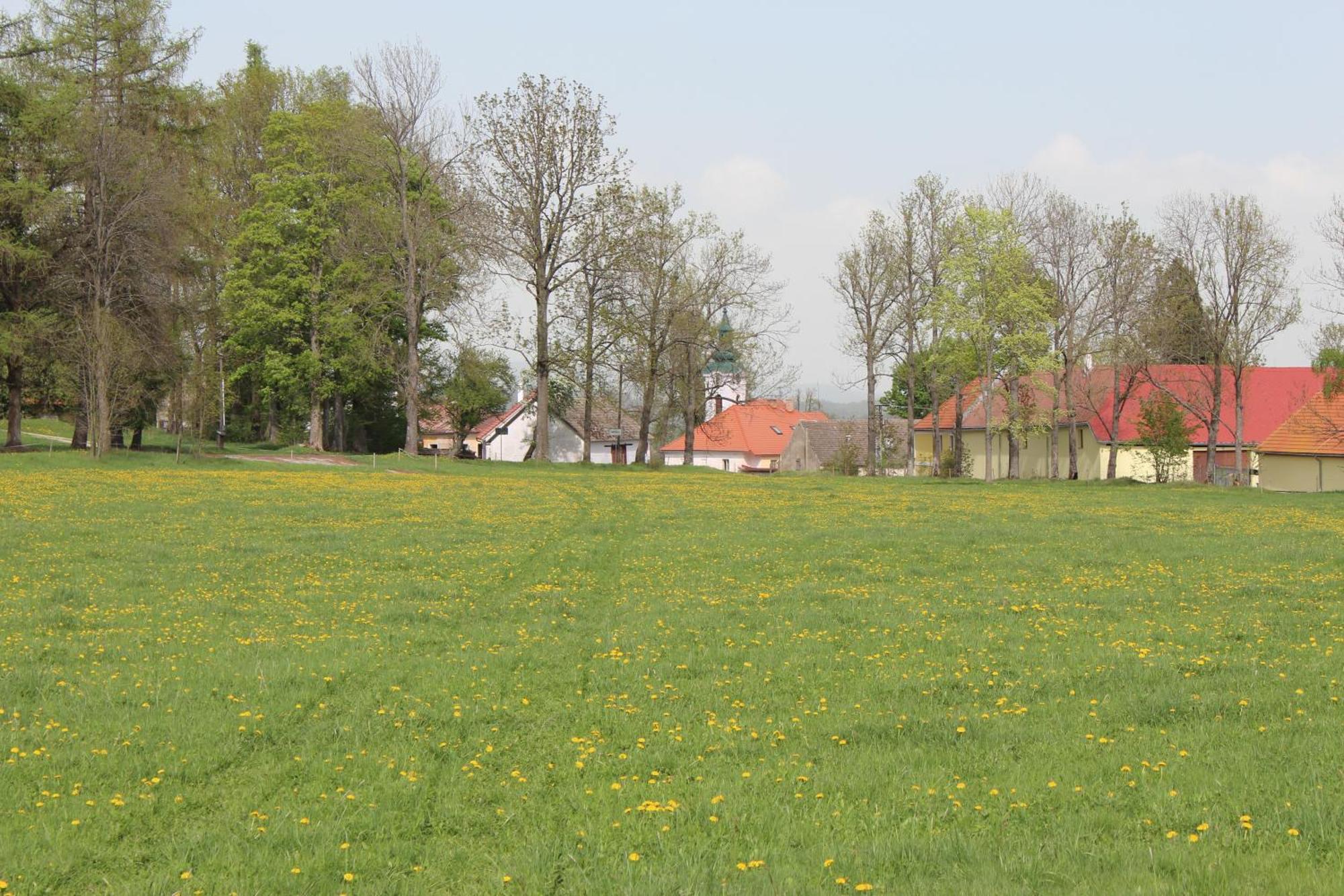 Ubytovani Praschlhaus Horní Planá Buitenkant foto