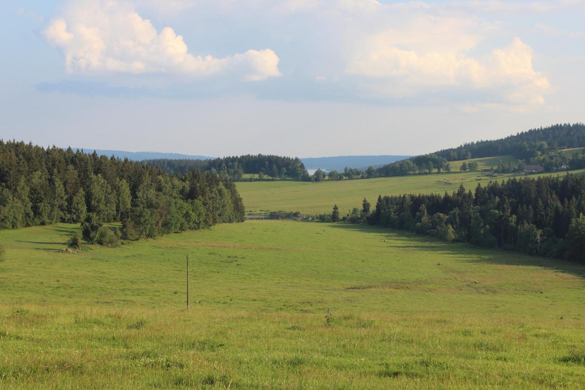 Ubytovani Praschlhaus Horní Planá Buitenkant foto