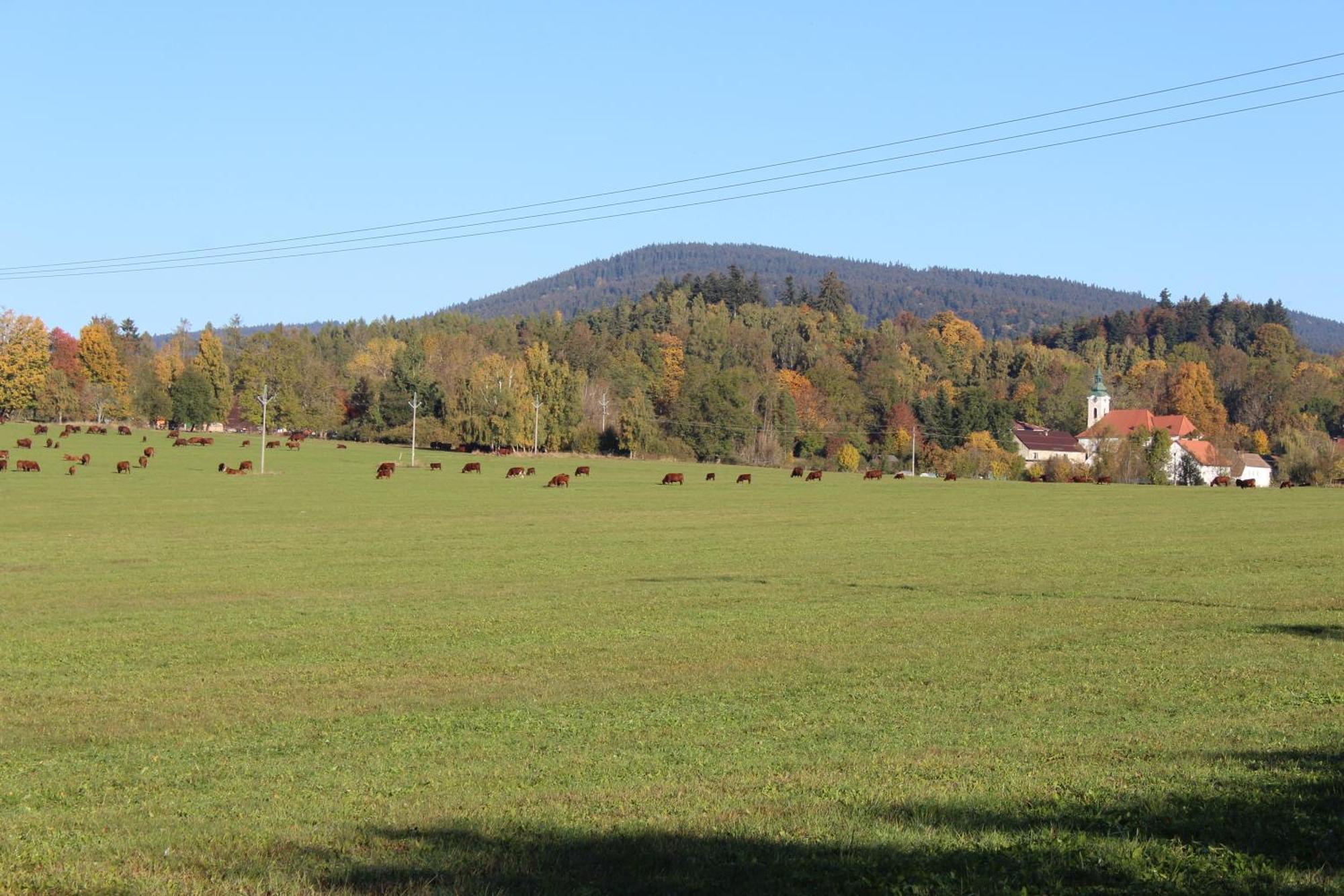 Ubytovani Praschlhaus Horní Planá Buitenkant foto