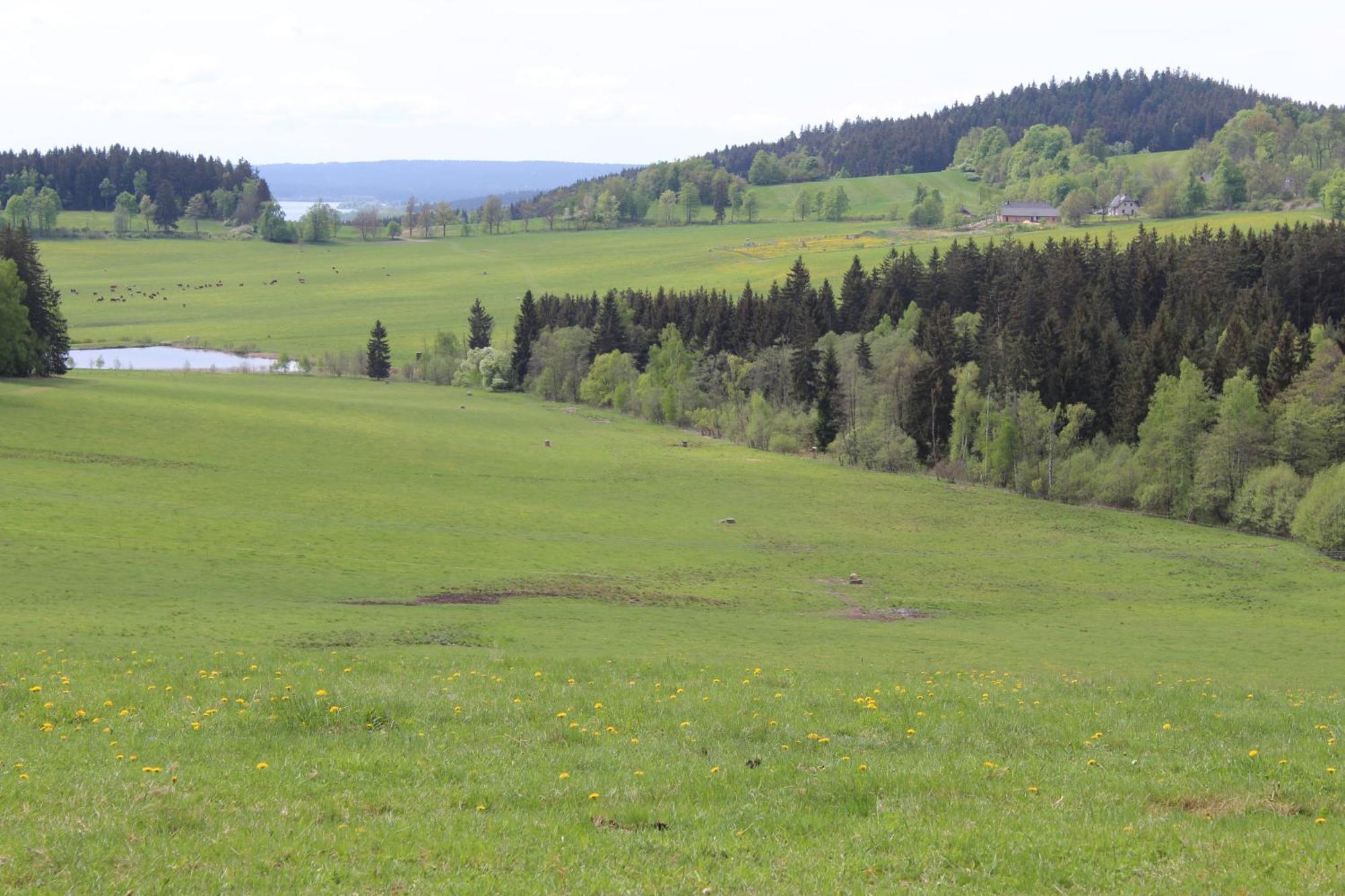 Ubytovani Praschlhaus Horní Planá Buitenkant foto