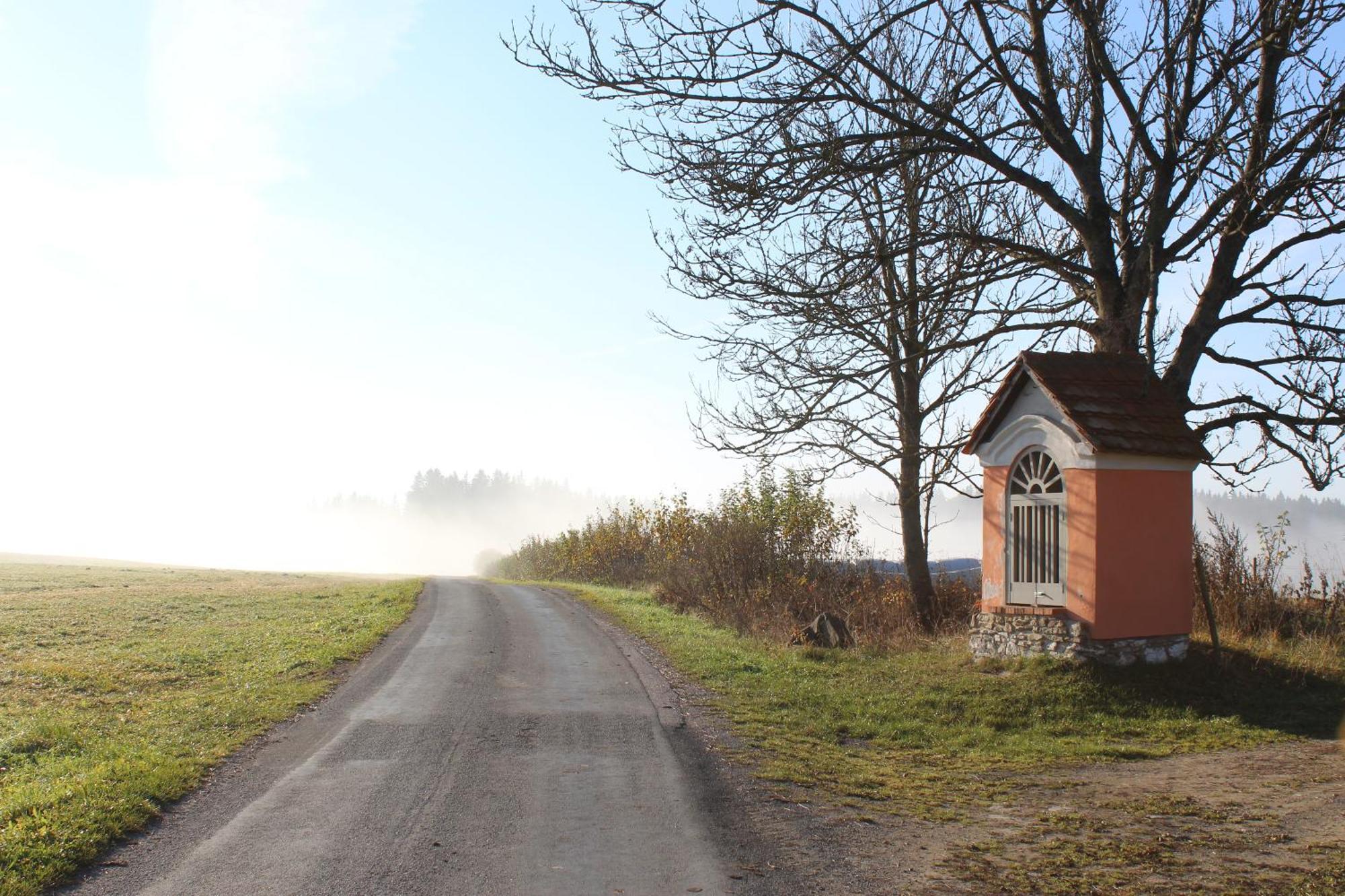 Ubytovani Praschlhaus Horní Planá Buitenkant foto