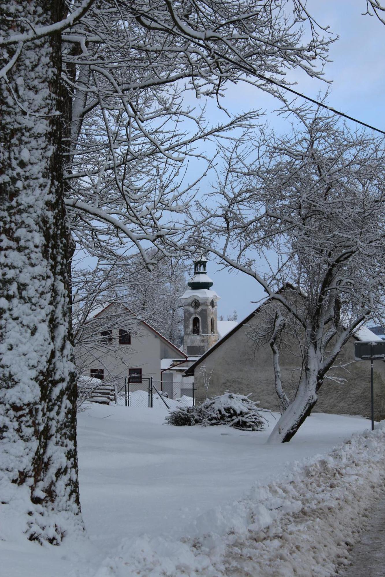 Ubytovani Praschlhaus Horní Planá Buitenkant foto