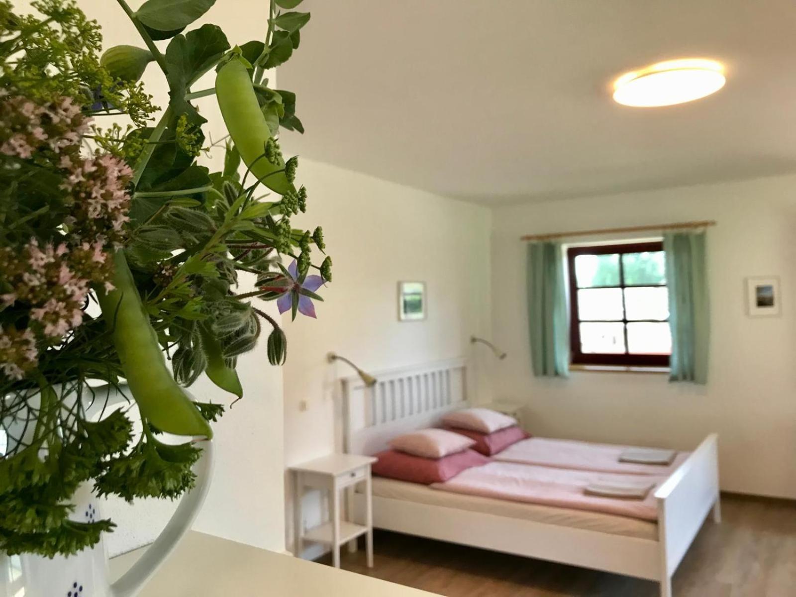 Ubytovani Praschlhaus Horní Planá Buitenkant foto
